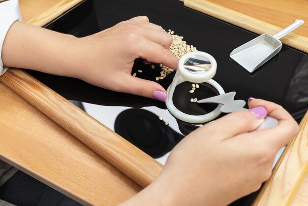 A woman specialist analyzes the quality of grain in the laboratory of an agricultural enterprise