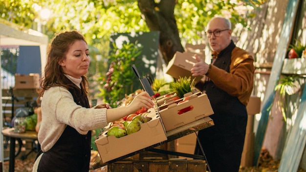 Woman stall holder arranging price tags on boxes of products at local farm market stand, presenting eco natural produce with senior farmer. Team of business owners selling fresh veggies.