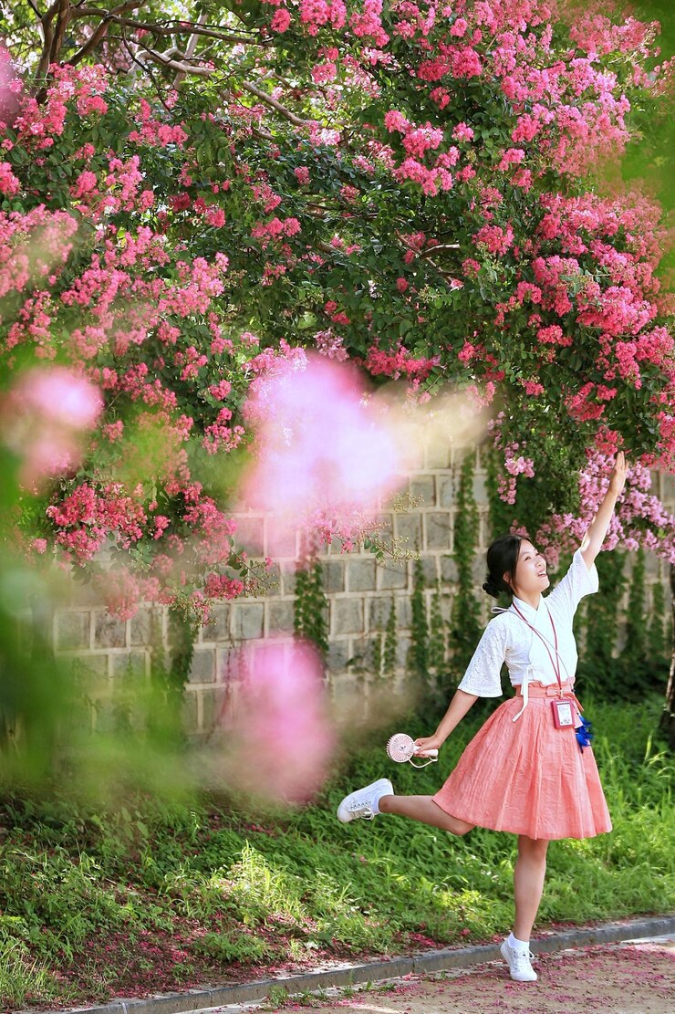 Photo 분홍색 꽃이 피는 식물 에 서 있는 여자
