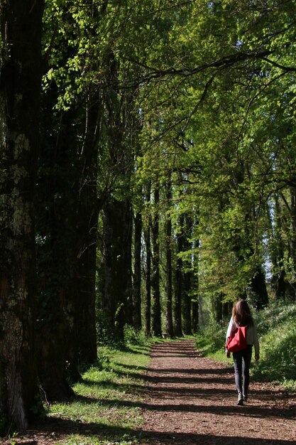 Woman standing amidst trees in forest