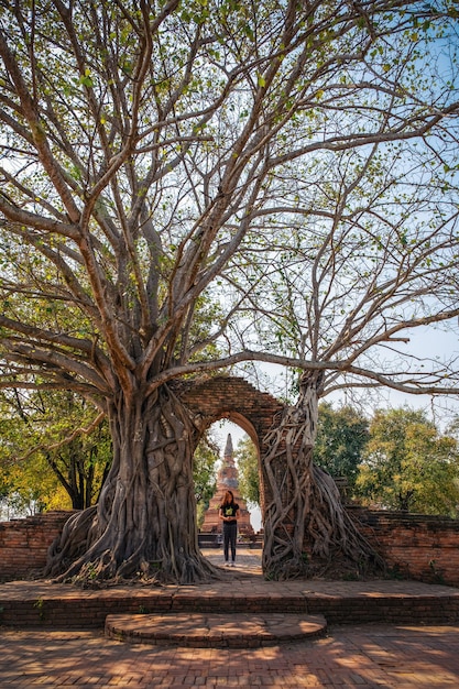 A woman standing under the big tree in ancient temple in Ayutthaya , Thailand