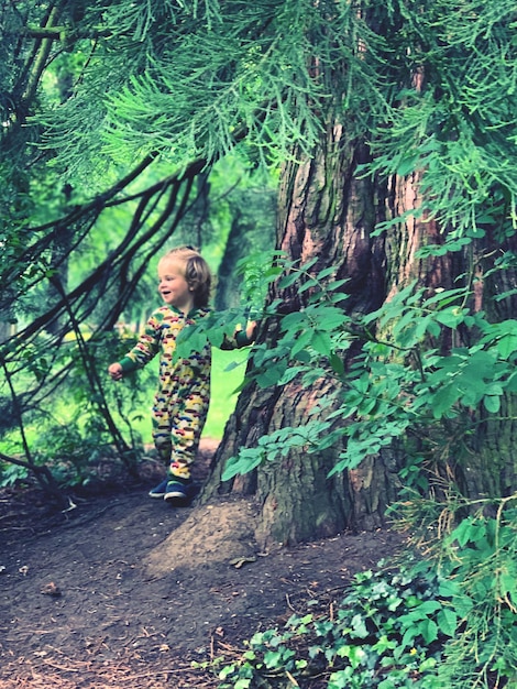 Woman standing by tree in forest