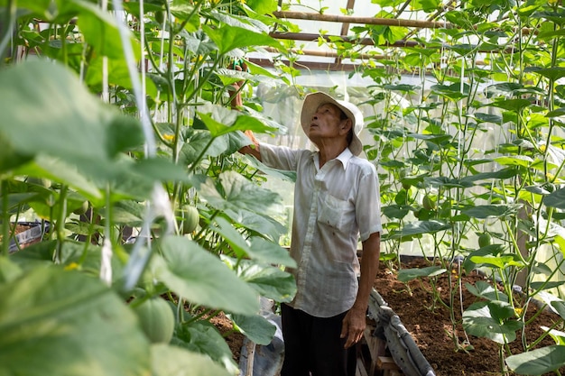 Photo woman standing in a farm