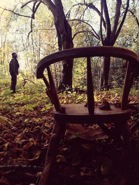 Foto donna in piedi sul tronco di un albero