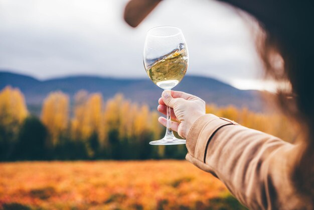 La donna con cappello e cappotto alla moda beve un delizioso vino bianco da un bicchiere di vino vicino a una vigna colorata contro la foresta e le colline il giorno d'autunno.