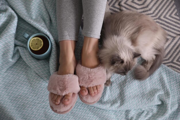 Woman in stylish soft slippers resting with cup of tea and cute cat at home top view