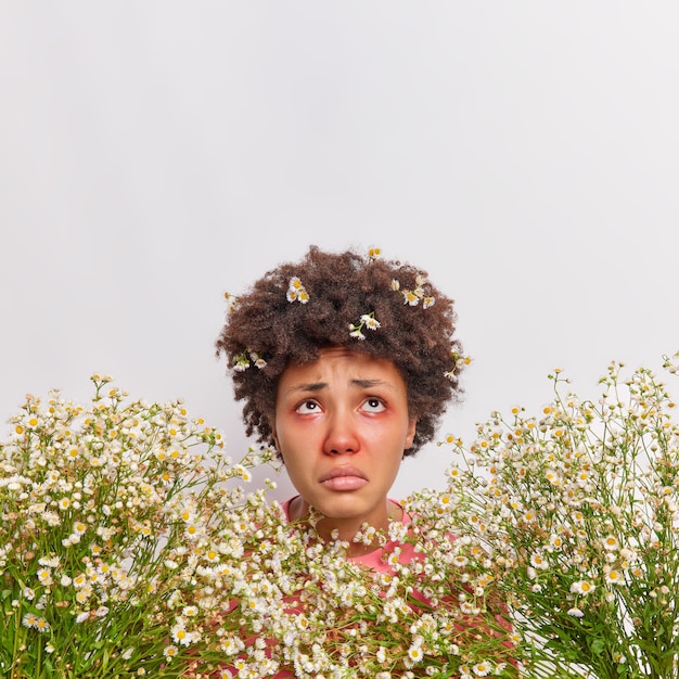 Photo woman suffers from seasonal allergy hay fever concentrated above has curly hair with stuck camomile flowers being allergic to pollen isolated over white