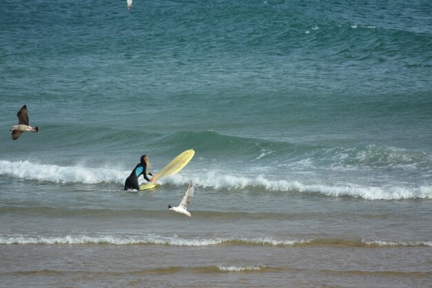 사진 바다에서 서핑하는 여자