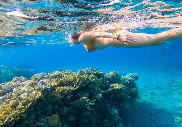 Woman swimming in sea