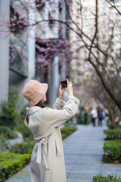 Woman take photo on cellphone of sakura flower