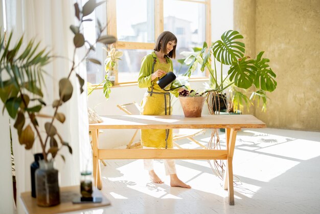 女性は屋内で緑の植物の世話をします