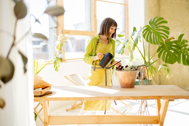 女性は屋内で緑の植物の世話をします