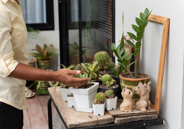 Photo woman takes care of plant on wood plank outdoor