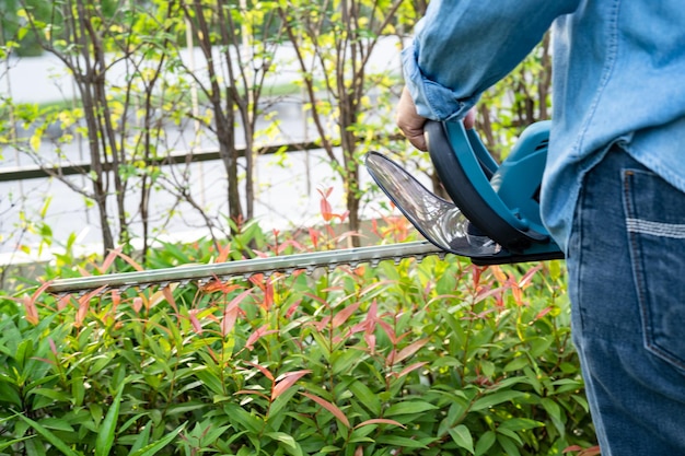 植物を育てる女性 趣味 植物を植える 家庭 庭 装飾 剪定