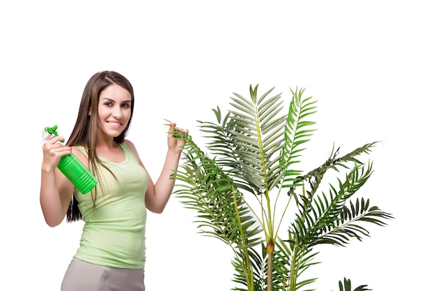 Woman taking care of plant isolated on white