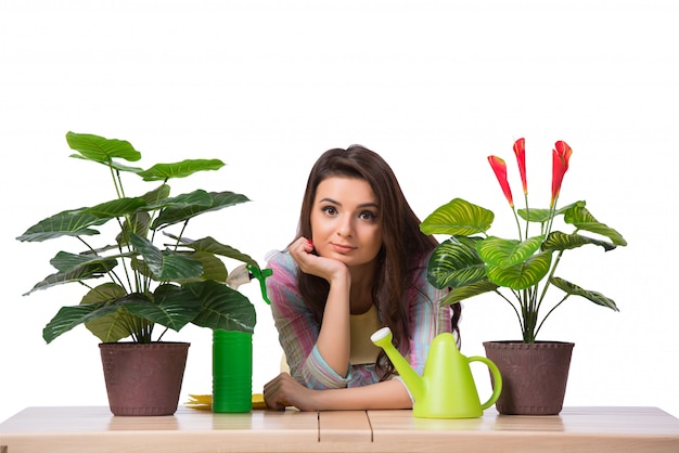 Woman taking care of plants isolated on white