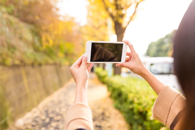 秋に美しいイチョウの木と携帯電話で写真を撮る女性