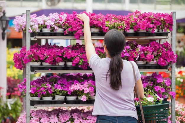 Woman taking a plant 