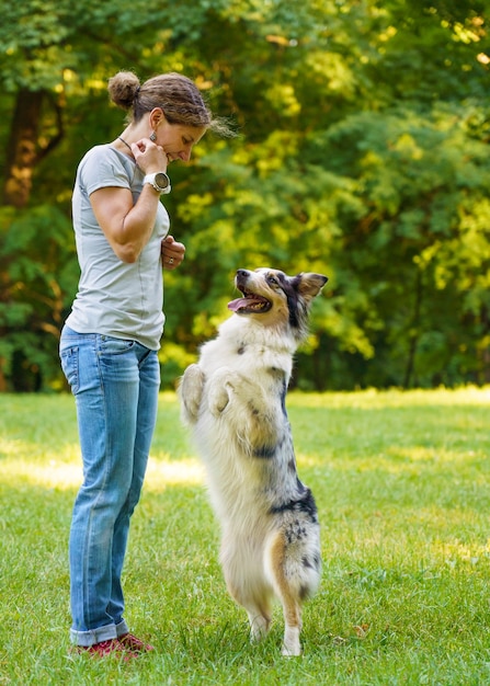 Woman teaching adorable smart dog australian shepherd new commands during obedience training in