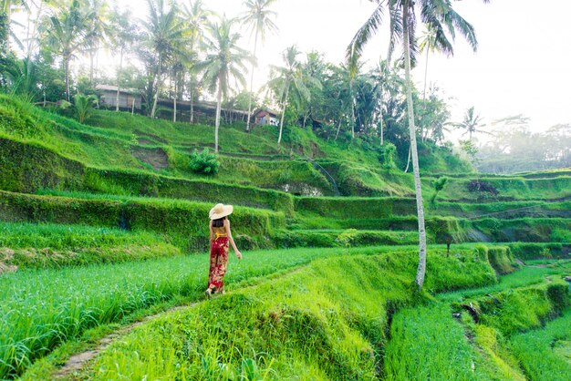 Woman at Tegalalang rice terrace in Bali