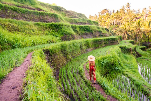 Donna alla terrazza del riso tegalalang a bali