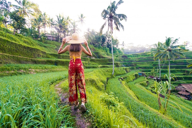 Donna alla terrazza del riso tegalalang a bali