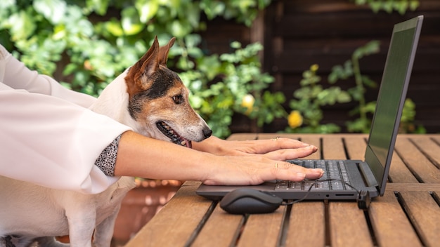 Женщина работает удаленно в саду со своей собакой, глядя на ноутбук