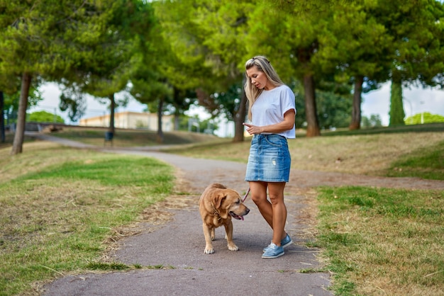 公園で犬を訓練する女性。