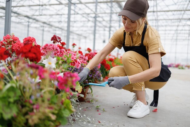 植物保育園で花を移植する女性