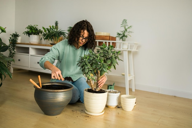 Woman transplanting green plant into new pot Houseplant and home gardening concept