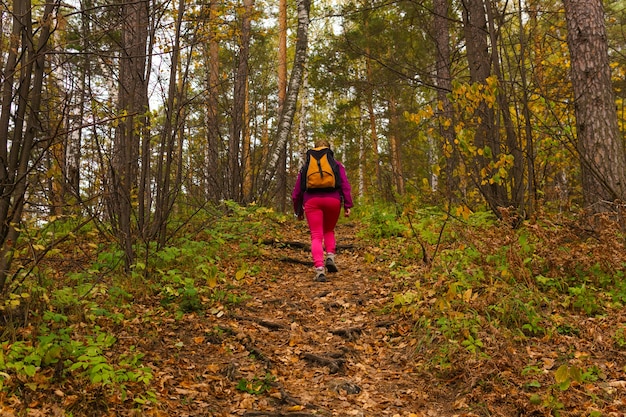 La donna che viaggia con uno zaino sale in salita nella foresta autunnale, vista dal retro