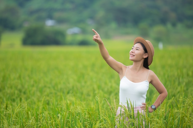 女性、旅行者、バックパック、帽子、見る、山、牧草地、嘘。