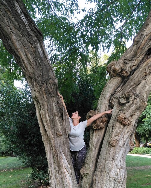 Foto donna sull'albero nel parco