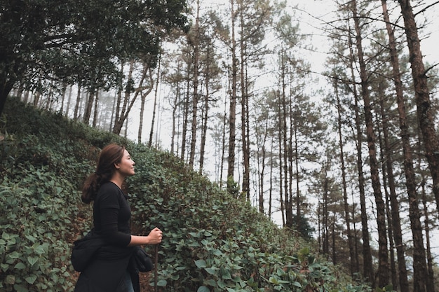 A woman trekking in the jungle of rain forest woods