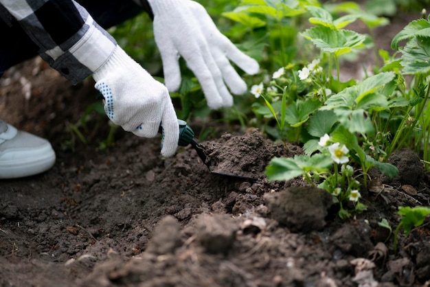 A woman uisng a shovel to make a new bed in garden for a flower