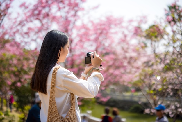 女性がデジタルカメラを使って桜の木で写真を撮る