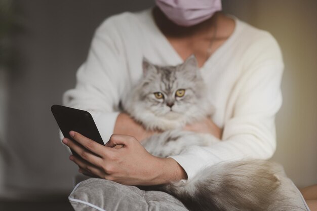 膝の上に座っている猫に携帯電話を使う女性