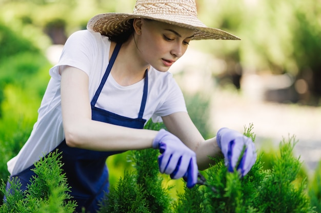 Woman uses gardening tool to trim hedge, cutting bushes with garden shears.