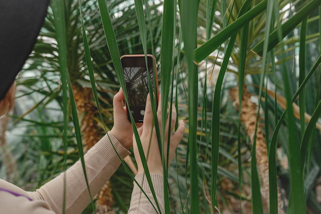 女性はスマートフォンを使用して温室内の緑の植物の写真を撮ります。