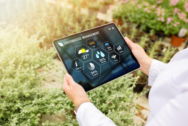 woman using innovative smart tech for greenhouse plant management