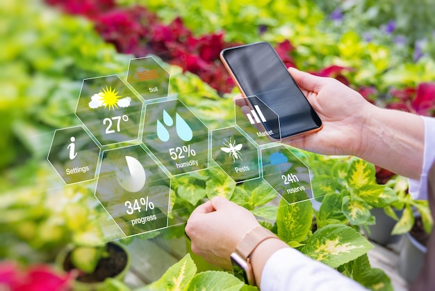 Woman using smart tech for greenhouse plant management