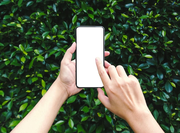 Woman using smartphone with blank screen for mockup on natural\
green leaf background.