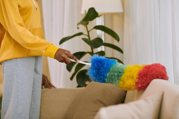 Woman Using Static Duster