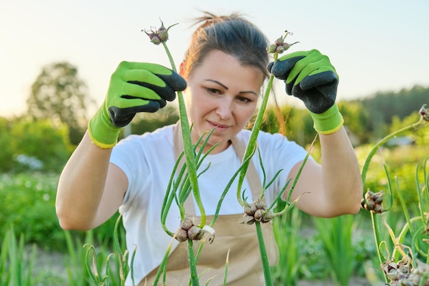 Donna in orto con raccolto di cipolla verde a castello. hobby, agricoltura, orticoltura, coltivazione, raccolta