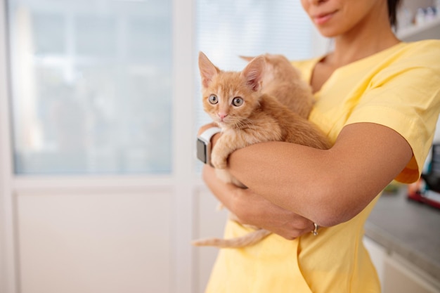 Woman vet cares of lovely kittens in doctor office