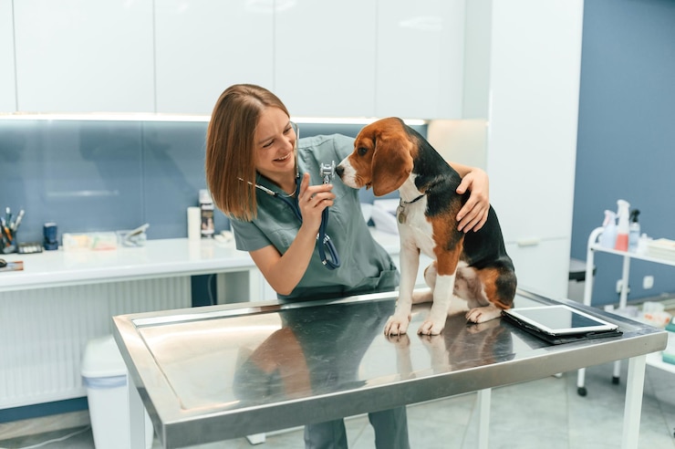 Photo woman veterinarian is with dog in the clinic