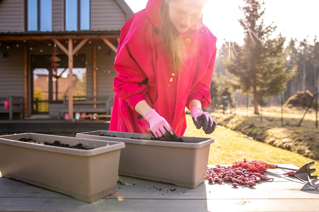 Woman in vibrant pink attire planting onion sets in a container garden during the crisp early spring morning