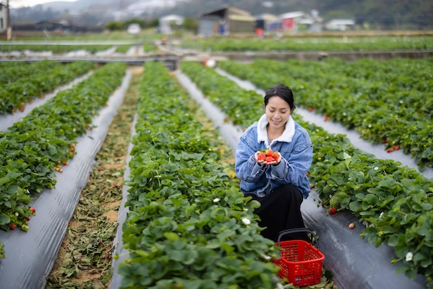 Woman visit organic strawberry farm