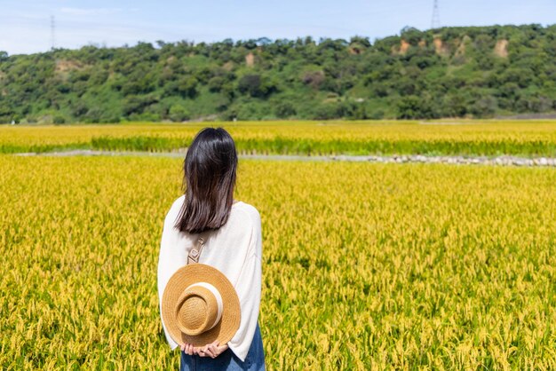 Woman visit the yellow rice field in Taichung