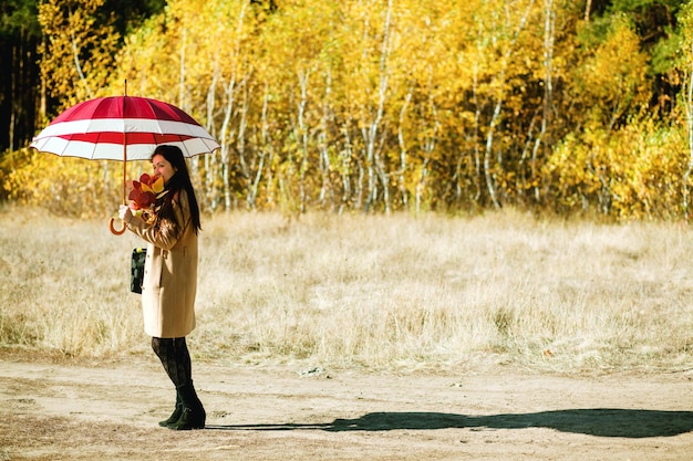 Woman walk in autumn forest with umbrella